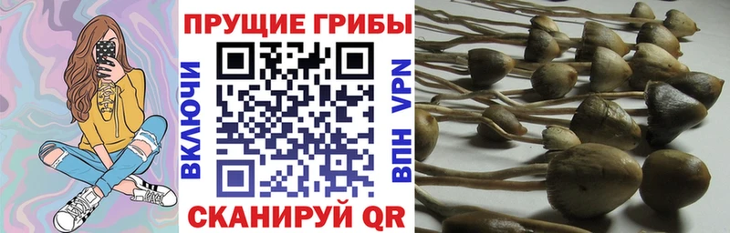 Галлюциногенные грибы прущие грибы  купить закладку  Карпинск 
