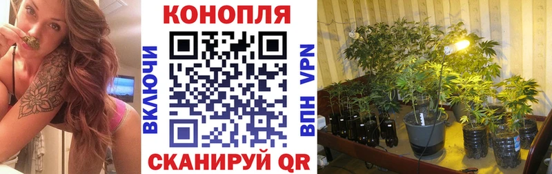 Конопля SATIVA & INDICA  Карпинск 